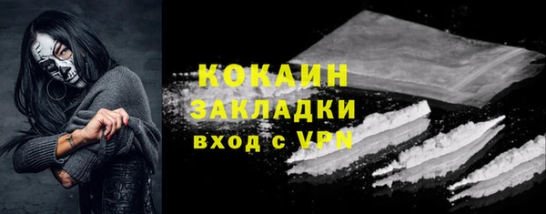 дживик Абаза