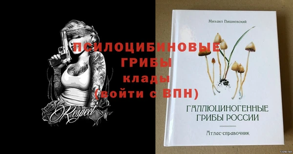 2c-b Абдулино