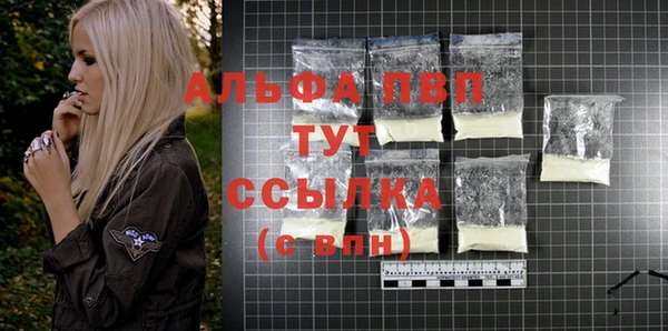 дживик Абаза