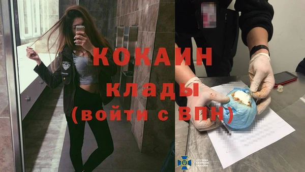 дживик Абаза