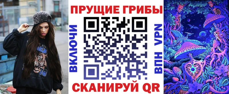Галлюциногенные грибы Psilocybe  Ессентукская 